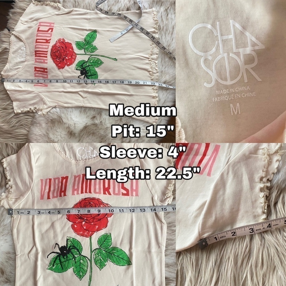 Chaser Vida Amorosa Baby Tee - Picture 11 of 11